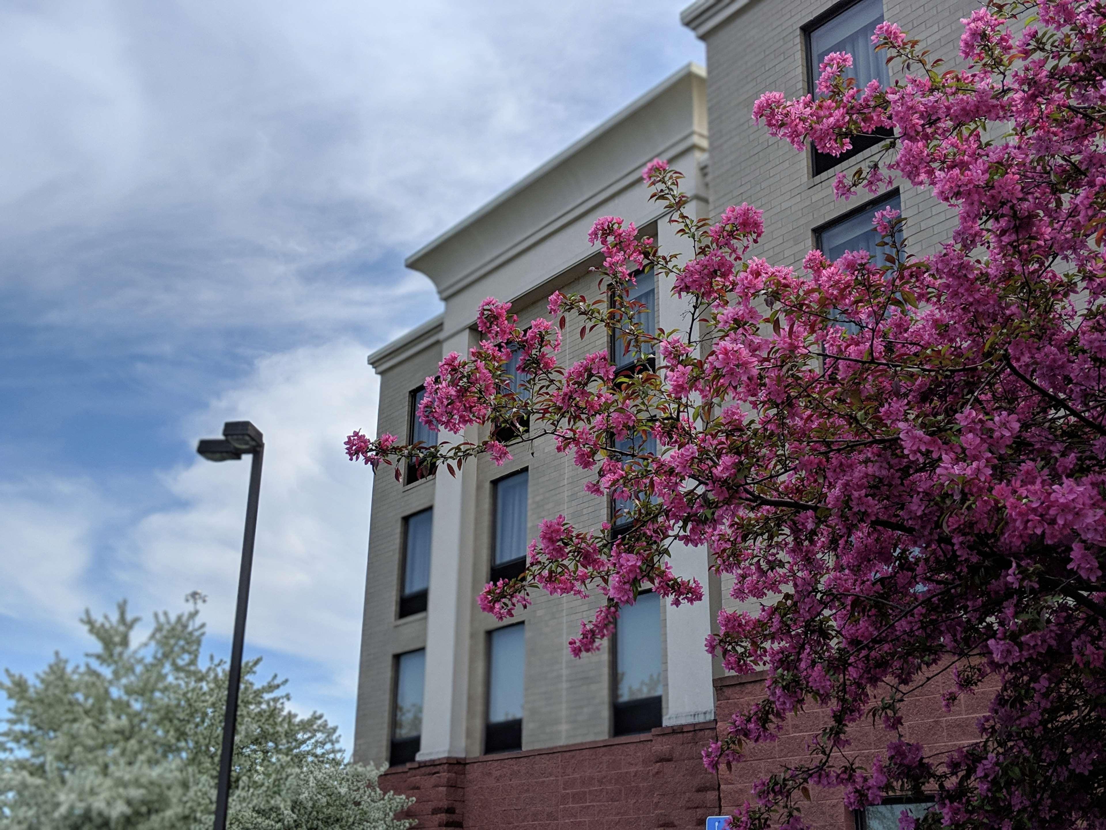 Hampton Inn & Suites Cincinnati-Union Centre West Chester Dış mekan fotoğraf